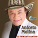 ANICETO MOLINA